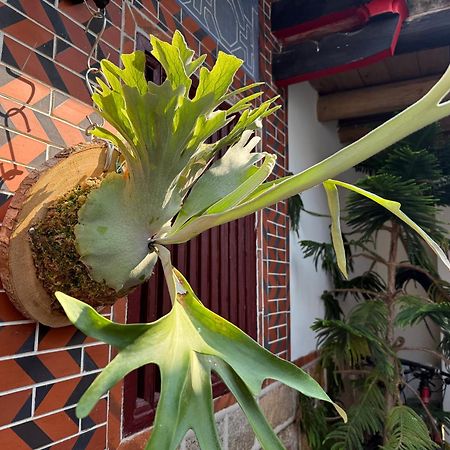 ג'ינצ'נג Grace Homestay מראה חיצוני תמונה
