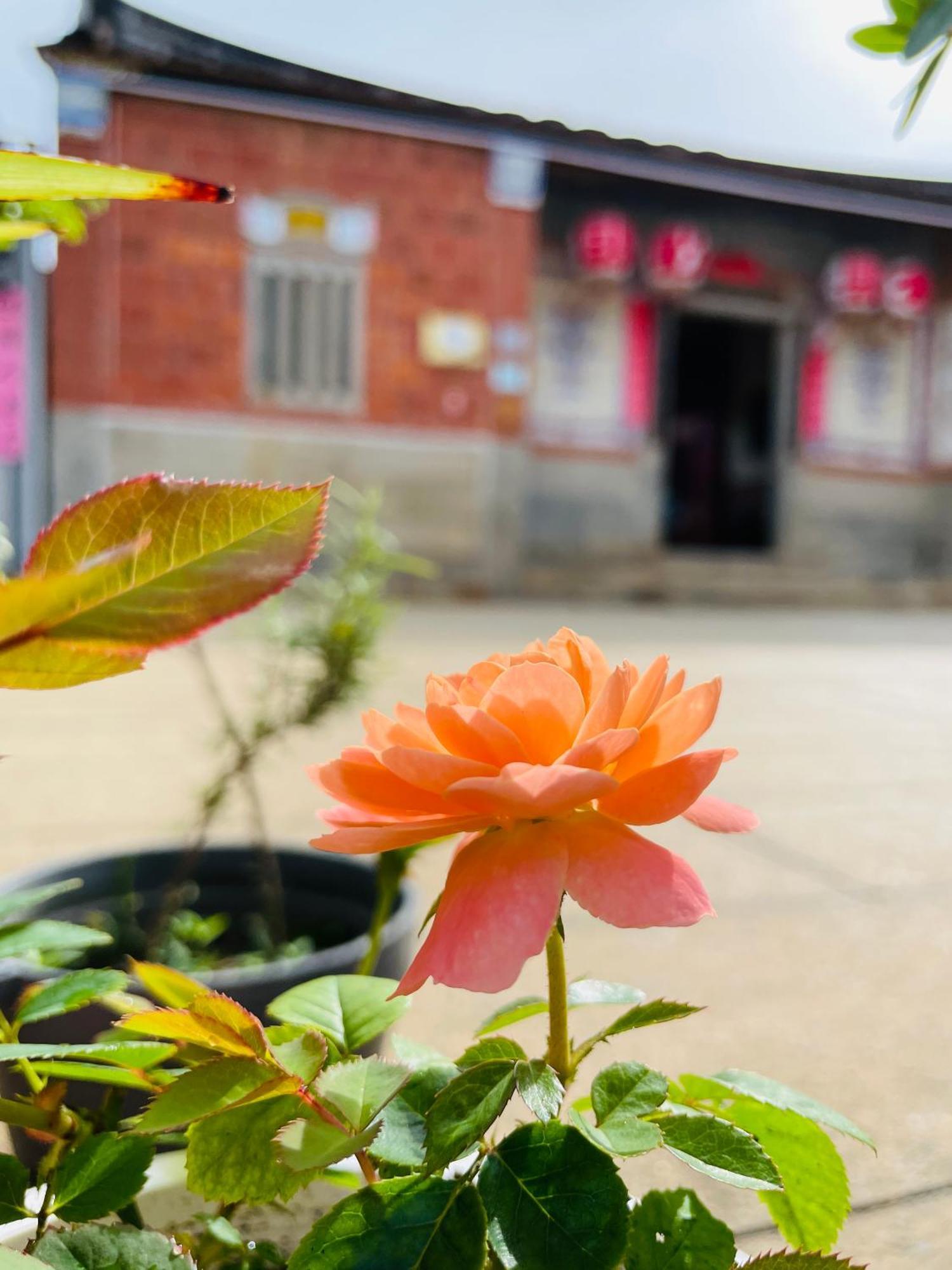 ג'ינצ'נג Grace Homestay מראה חיצוני תמונה