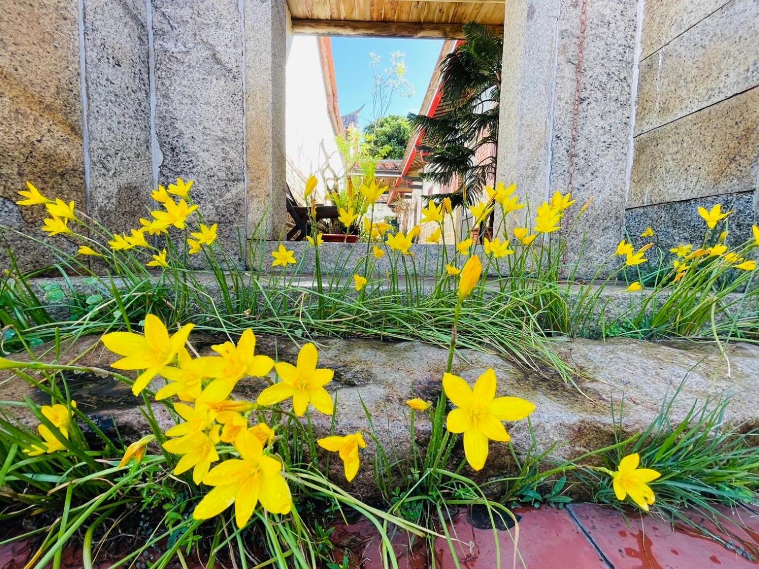 ג'ינצ'נג Grace Homestay מראה חיצוני תמונה